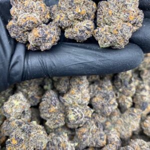 PURPLE CHERRYLATTO