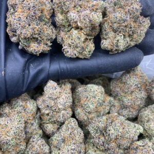 WARHEAD GELATO