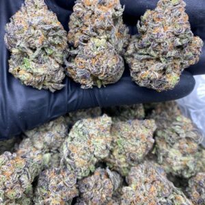 BLUE COOKIES