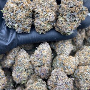 BUBBLEGUM GELATO