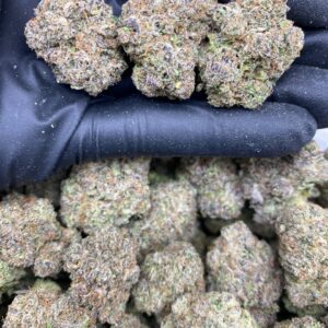 CANDY FRITTERS