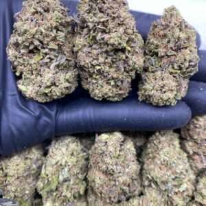CHERRY GELATO