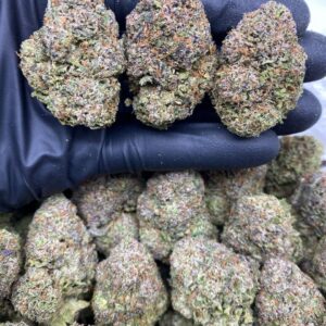 GELATO FROSTY