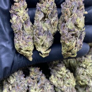 GELATO TAFFY