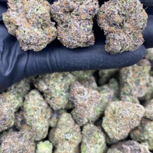 PURPLE CANDYLATTO
