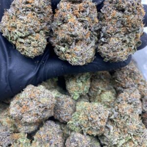 PURPLE PLATINUM GUSHERS