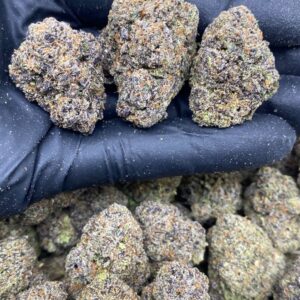 PURPLE SPACE RUNTZ