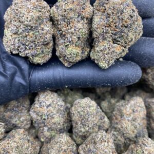 PURPLELATTO